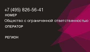 4958265641